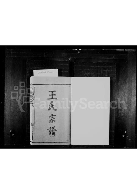 福建王氏族谱-王氏宗谱.pdf电子版插图1