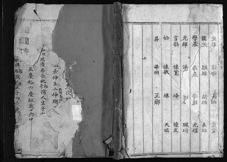 福建袁氏族谱-白砂袁氏族谱 [4卷,及卷首].pdf电子版插图1