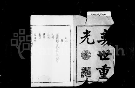 福建卓氏族谱-卓氏族谱 [2卷].pdf电子版插图1