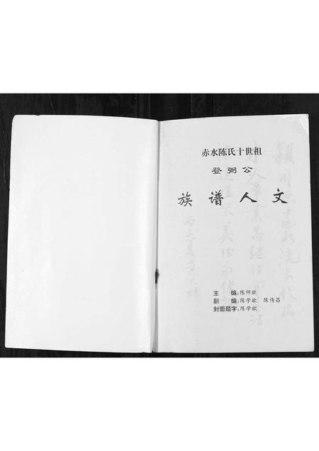 广东陈氏族谱-族谱人文.pdf电子版插图1