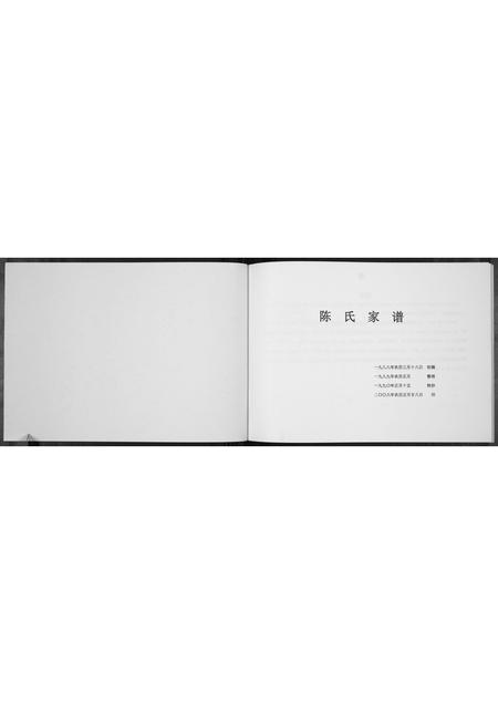 河南陈氏族谱-陈氏家谱[不分卷].pdf电子版插图1