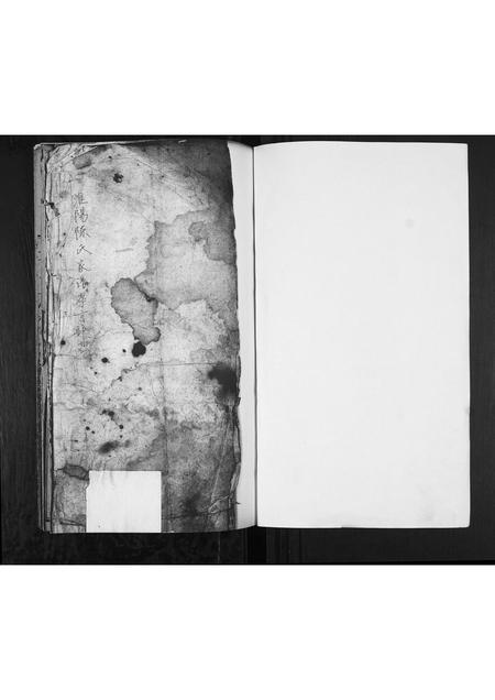 河南陈氏族谱-陈氏族谱.pdf电子版插图1