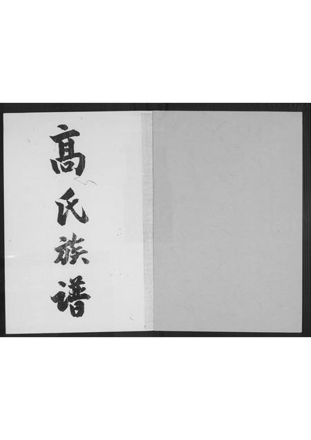 广东高氏族谱-高氏族谱.pdf电子版插图1