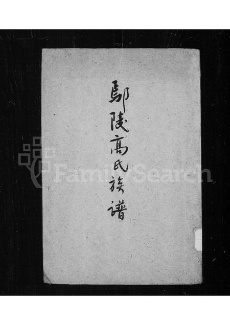 河南高氏族谱-鄢陵高氏族谱.pdf电子版插图1