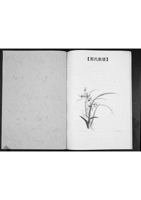 河南郭氏族谱-郭氏族谱[不分卷].pdf电子版插图1