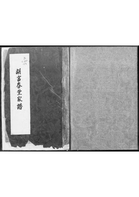 广东胡氏族谱-胡富春堂家谱.pdf电子版插图1