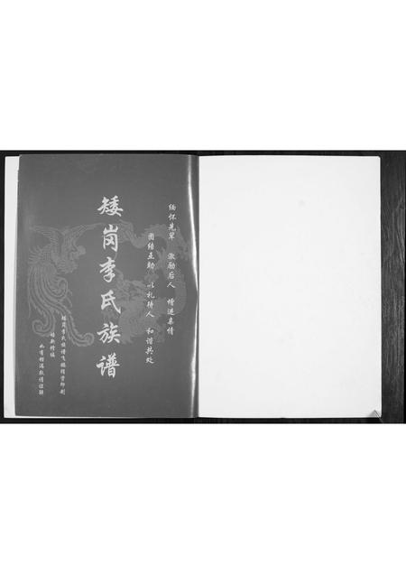 广东李氏族谱-矮岗李氏族谱.pdf电子版插图1