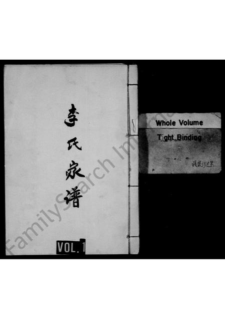 河南李氏族谱-李氏家谱.pdf电子版插图1