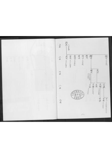 福建黄氏族谱-同安房金柄纶公派下支分文斗安聚公(字驰复)分布支图简录.pdf电子版插图1