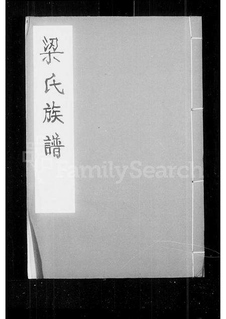 广东梁氏族谱-梁氏族谱.pdf电子版插图1