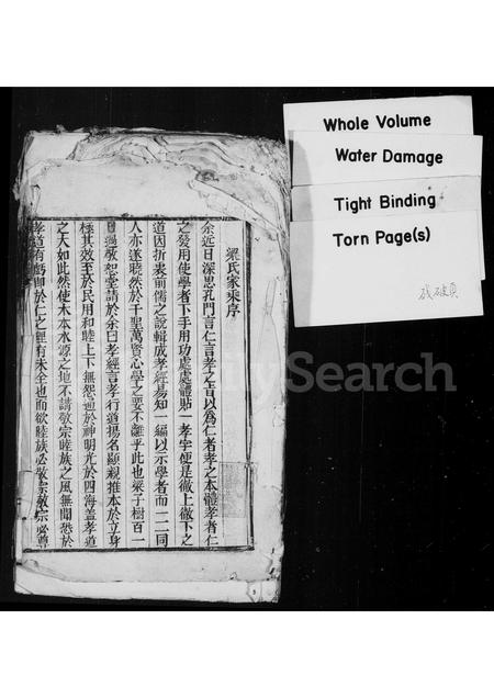 河南梁氏族谱-梁氏家乘.pdf电子版插图1