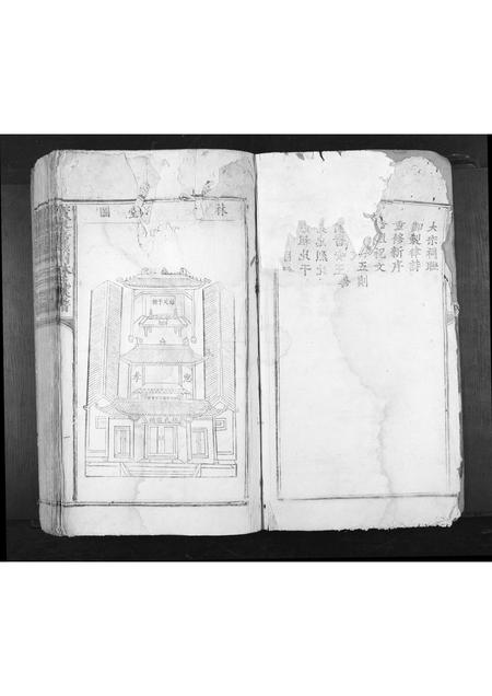 广东林氏族谱-广东嘉应州林氏族谱[不分卷].pdf电子版插图1