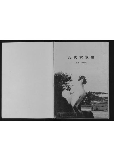 河南刘氏族谱-刘氏家族谱.pdf电子版插图1