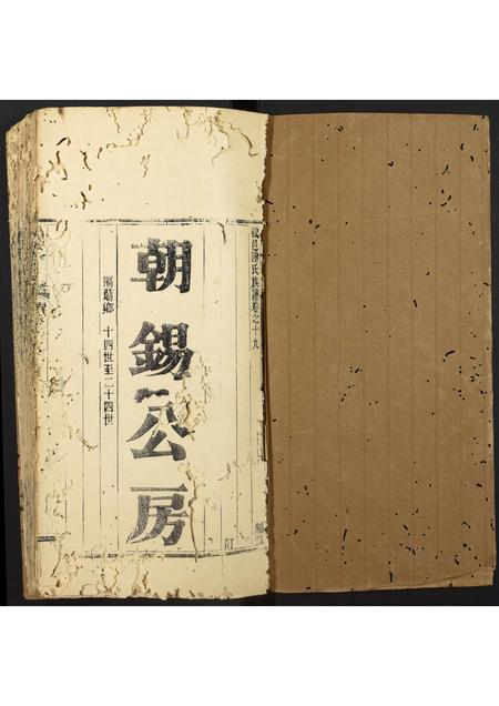 广东陆氏族谱-陆氏族谱.pdf电子版插图1