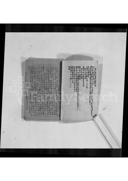 广东甯氏族谱-岭南甯氏家乘初稿.pdf电子版插图1
