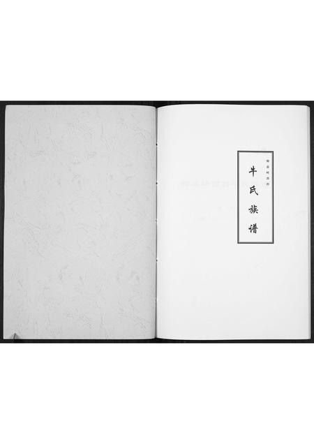 河南牛氏族谱-牛氏族谱[不分卷].pdf电子版插图1