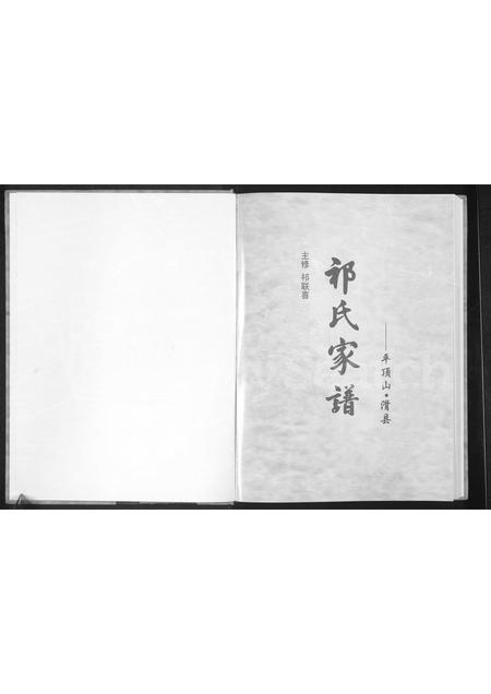 河南祁氏族谱-平顶山滑县祁氏家谱.pdf电子版插图1
