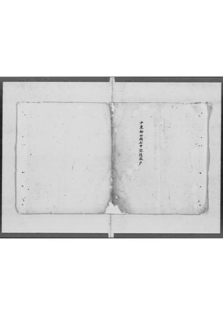 广东容氏族谱-中东都四图七甲容复盛户.pdf电子版插图1