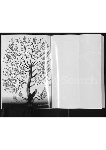 河南宋氏族谱-宋氏云族世谱.pdf电子版插图1