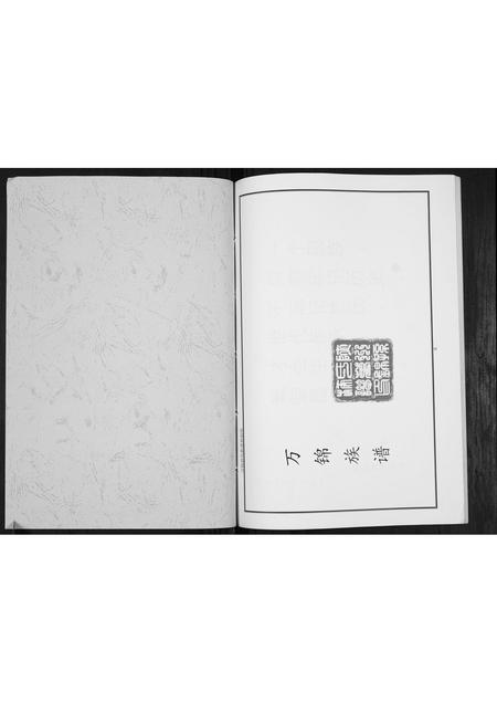 河南孙氏族谱-孙氏族谱[不分卷].pdf电子版插图1