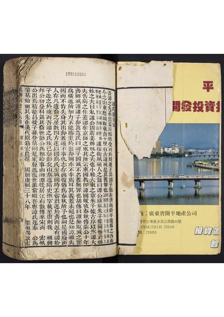 广东谭氏族谱-清湖洞谭氏族谱.pdf电子版插图1
