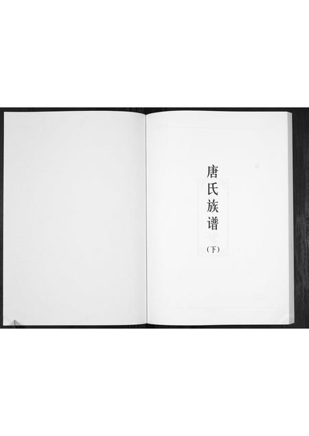 广东唐氏族谱-唐氏族谱.pdf电子版插图1