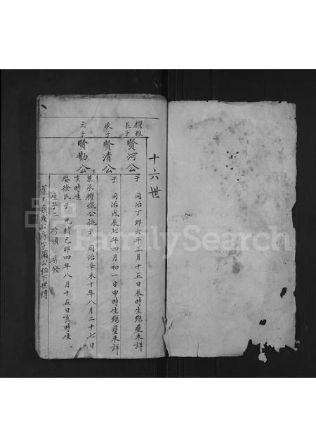 江西、安徽王氏族谱-王氏世次十六一号.pdf电子版插图1 江西、安徽王氏族谱-王氏世次十六一号.pdf电子版插图1