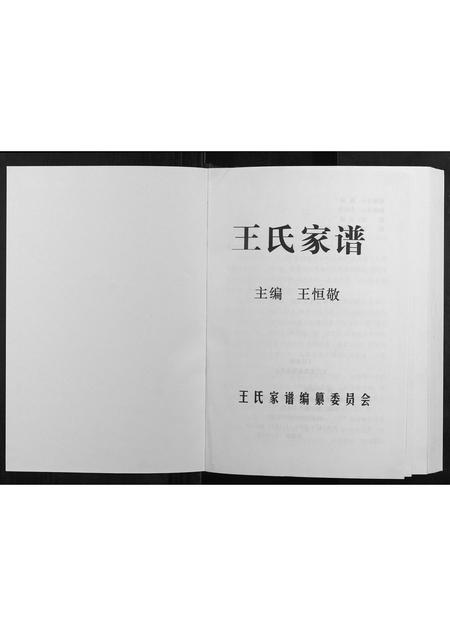 河南王氏族谱-王氏家谱.pdf电子版插图1