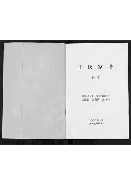 河南王氏族谱-王氏家谱[不分卷].pdf电子版插图1