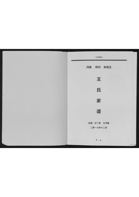 河南王氏族谱-王氏家谱[不分卷].pdf电子版插图1