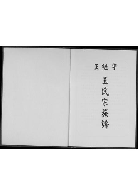河南王氏族谱-王魁宇.王氏宗族谱.pdf电子版插图1 河南王氏族谱-王魁宇.王氏宗族谱.pdf电子版插图1