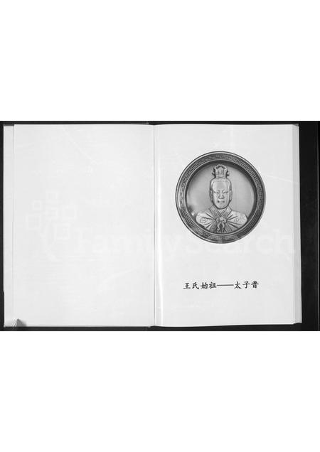 河南王氏族谱-王氏家谱 [不分卷].pdf电子版插图1