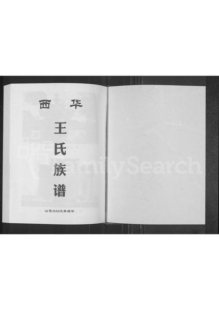 河南王氏族谱-西华王氏族谱.pdf电子版插图1