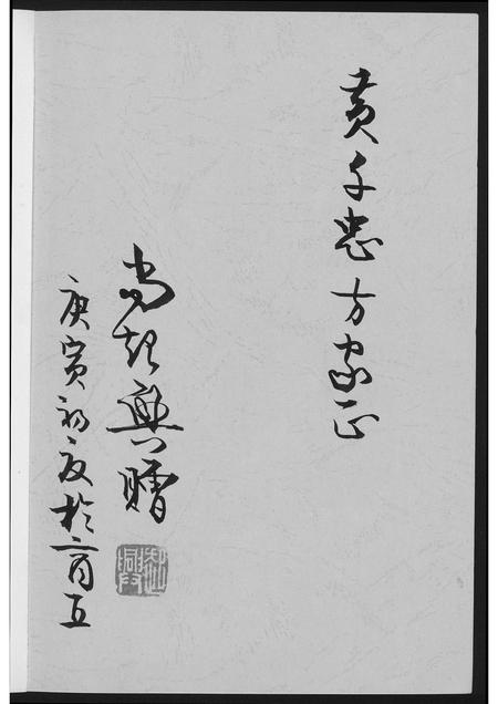 河南未知族谱-根在商丘.pdf电子版插图1