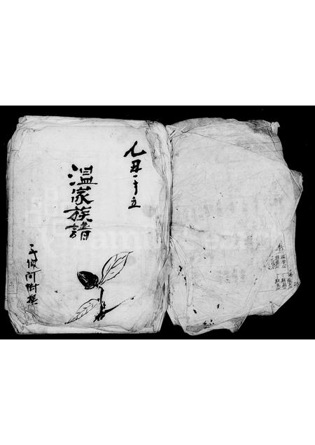 广东温氏族谱-温家族谱.pdf电子版插图1