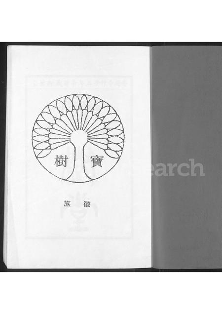 广东谢氏族谱-谢氏族谱.pdf电子版插图1