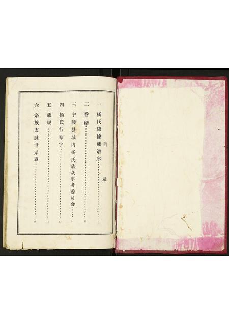河南杨氏族谱-杨氏族谱.pdf电子版插图1