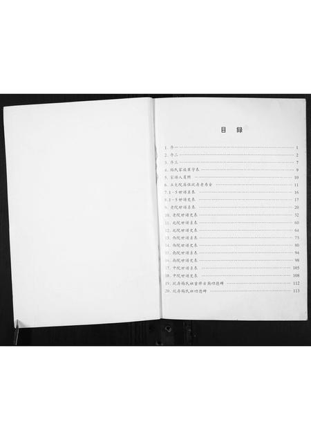 河南杨氏族谱-杨珍宗族世系家牒.pdf电子版插图1