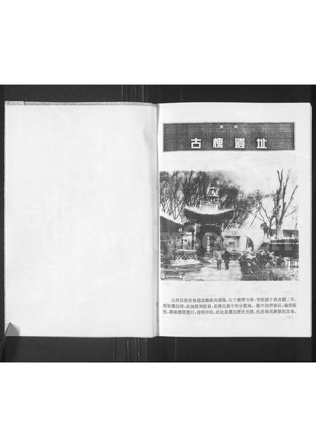 河南阴氏族谱-阴氏族谱.pdf电子版插图1