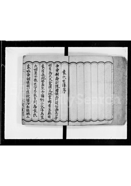 广东袁氏族谱-袁氏族谱.pdf电子版插图1