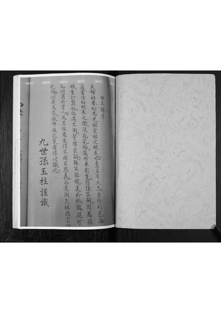 河南张氏族谱-张氏家谱.pdf电子版插图1 河南张氏族谱-张氏家谱.pdf电子版插图1