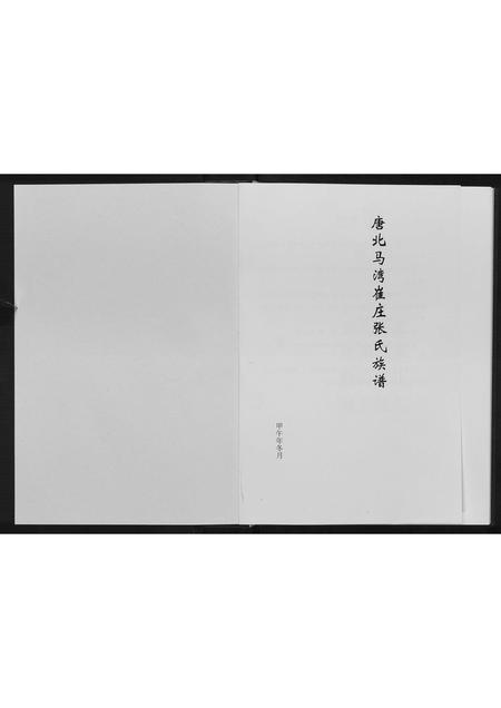 河南张氏族谱-张氏族谱.pdf电子版插图1