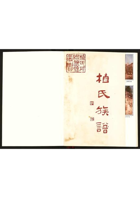 广东植氏族谱-植氏族谱.pdf电子版插图1