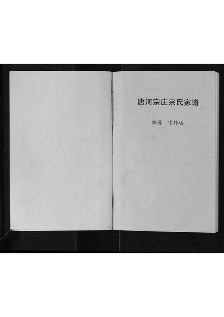 河南宗氏族谱-唐河宗庄宗氏家谱[不分卷].pdf电子版插图1