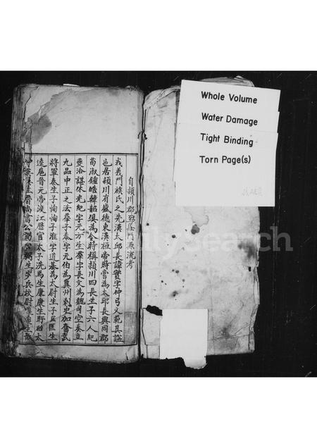 河南陈氏族谱-淮阳郡陈氏族谱.pdf电子版插图1