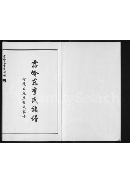 河南李氏族谱-露岭东李氏族谱.pdf电子版插图1