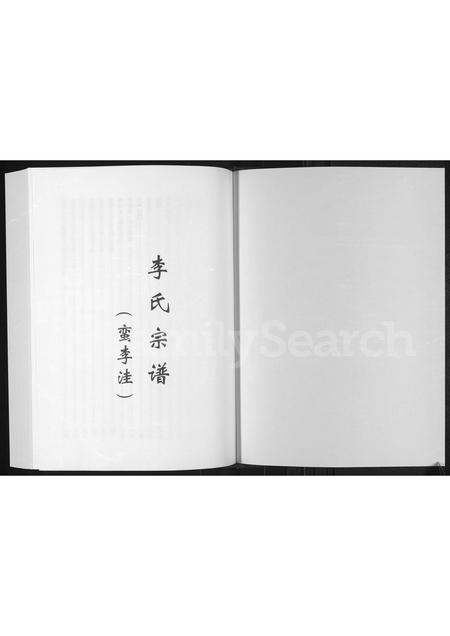河南李氏族谱-李氏宗谱 _ 蛮李洼.pdf电子版插图1