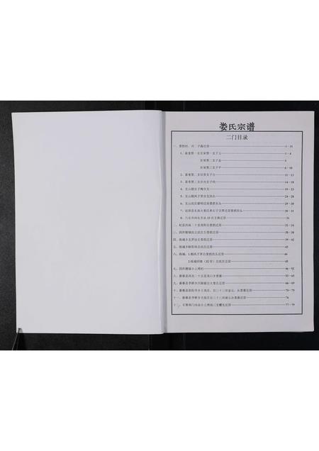 河南娄氏族谱-娄氏族谱 _ 二门.pdf电子版插图1