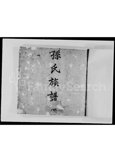 广东孙氏族谱-孙氏族谱 _ 忠埧.pdf电子版插图1