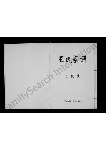 河南王氏族谱-王氏家谱 _ 三槐堂 [6卷].pdf电子版插图1